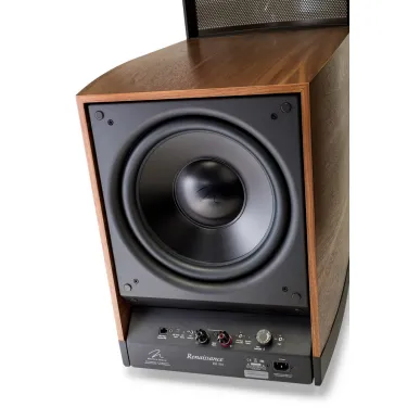 Напольная акустика Martin Logan Renaissance ESL 15A Arctic Silver